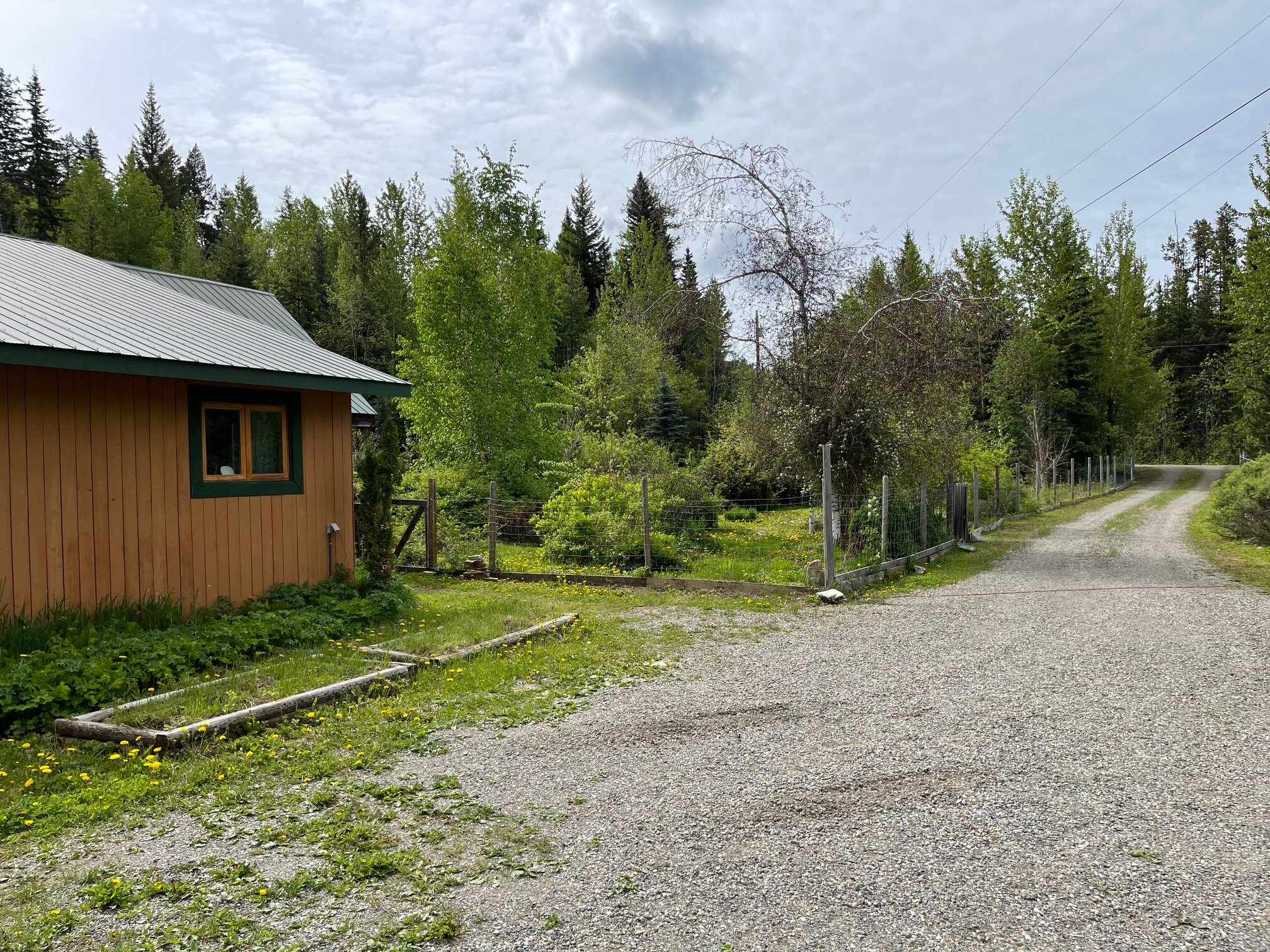 image6.jpeg