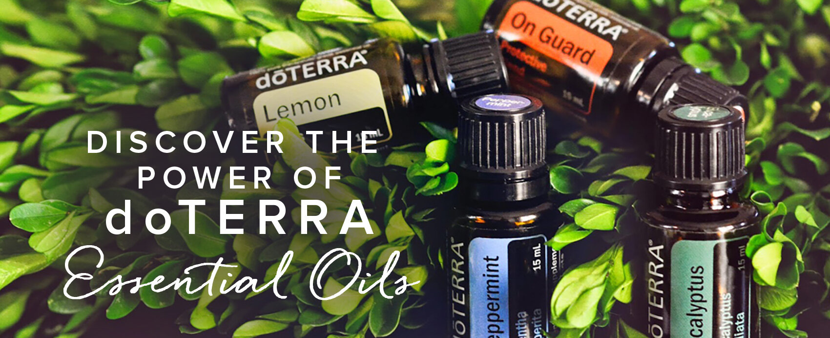 Sourcing Essential Oil Plants Where They Thrive Most, SourceToYou