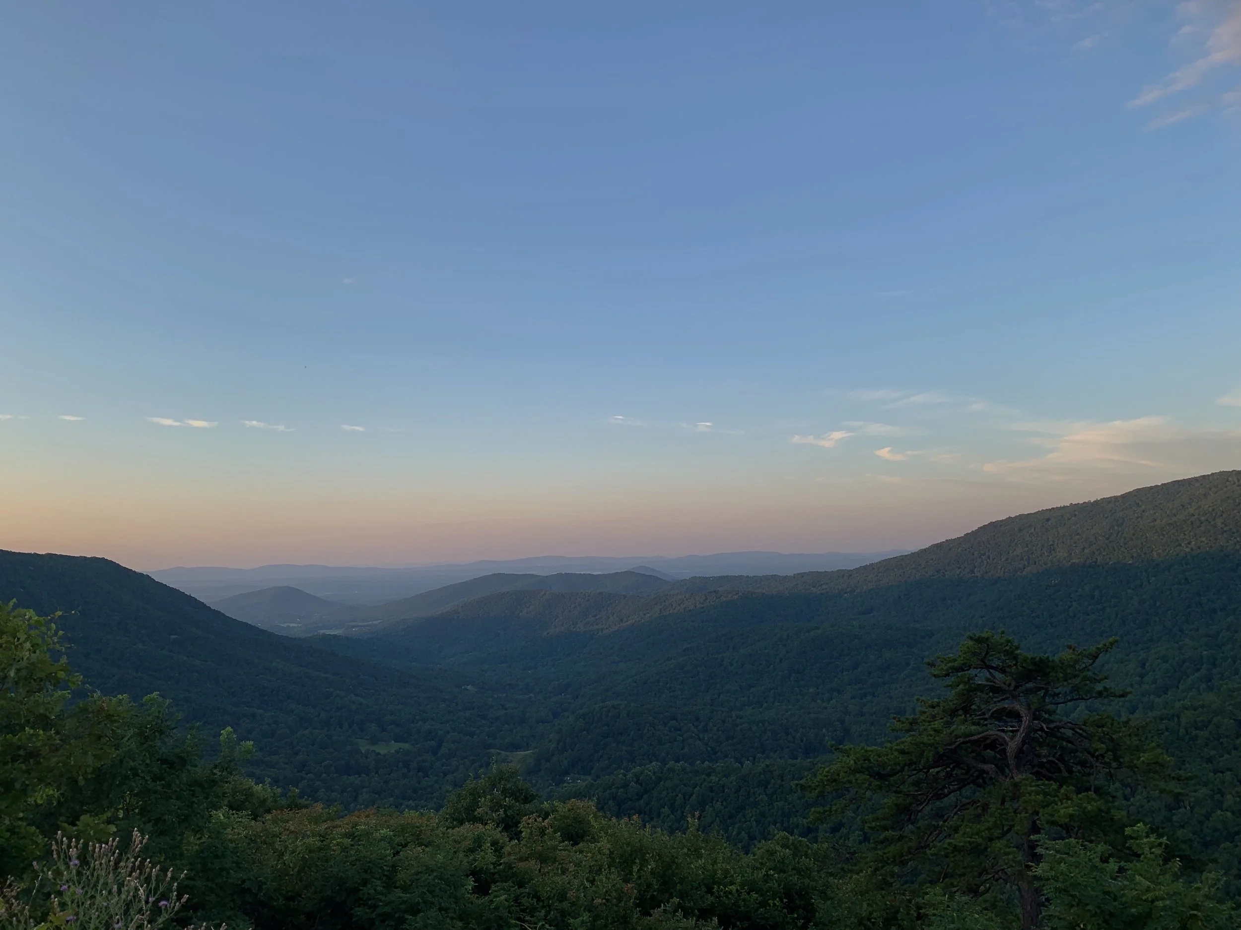 Top 3 Dog Friendly National Parks