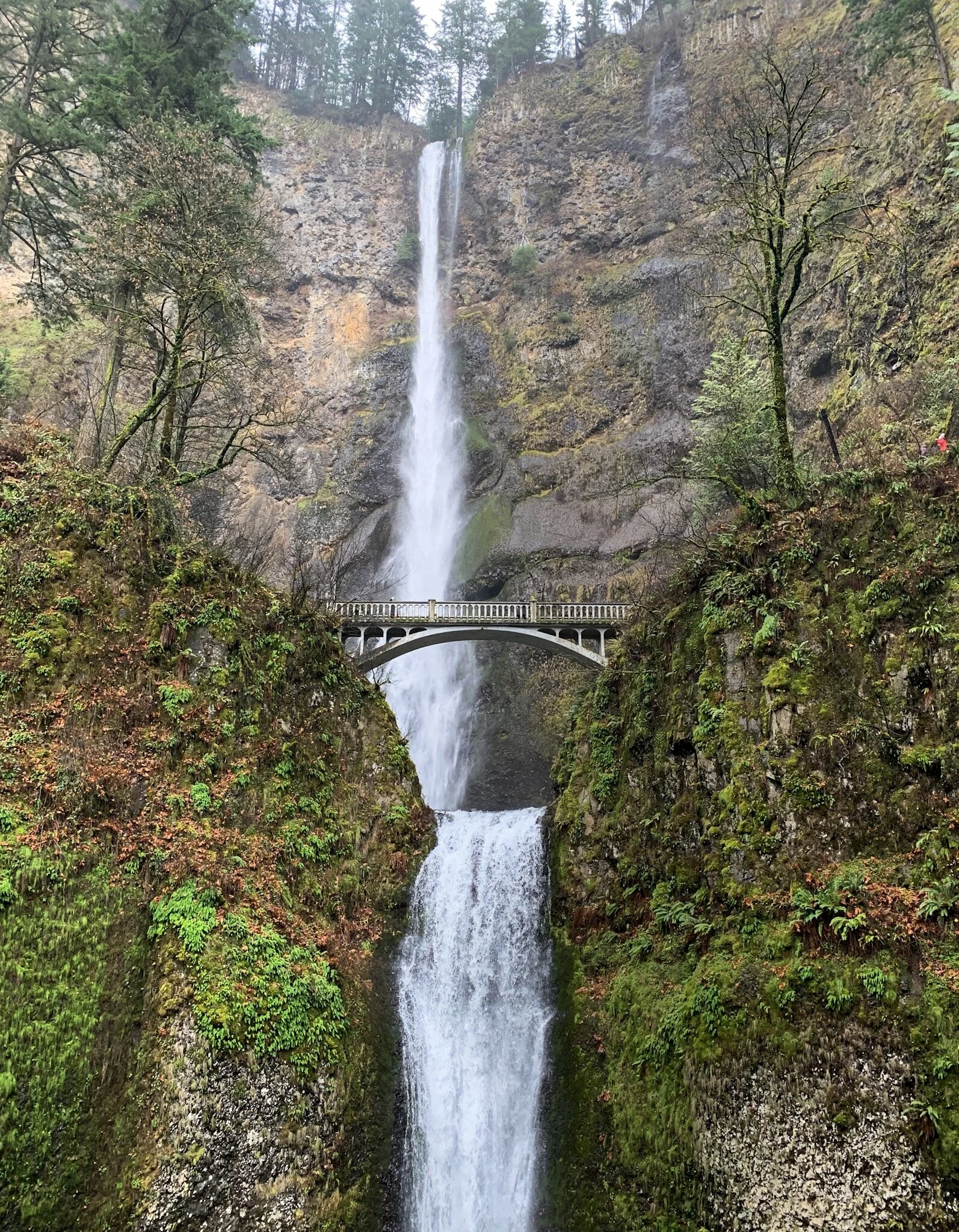 Top 5 Most Instagramable Natural Spots in Oregon