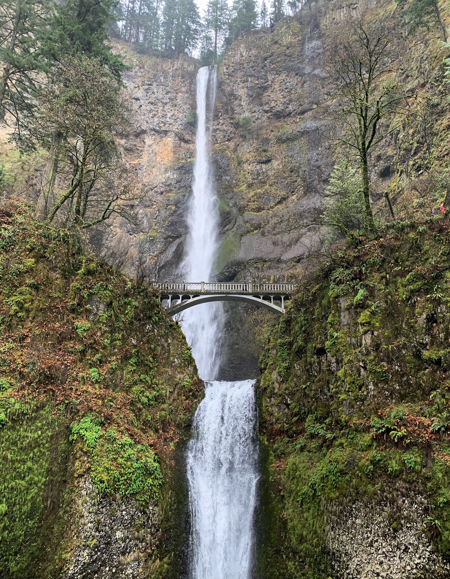 Streng Vild Afhængig Top 5 Most Instagramable Natural Spots in Oregon — Halle's Wandering Soul