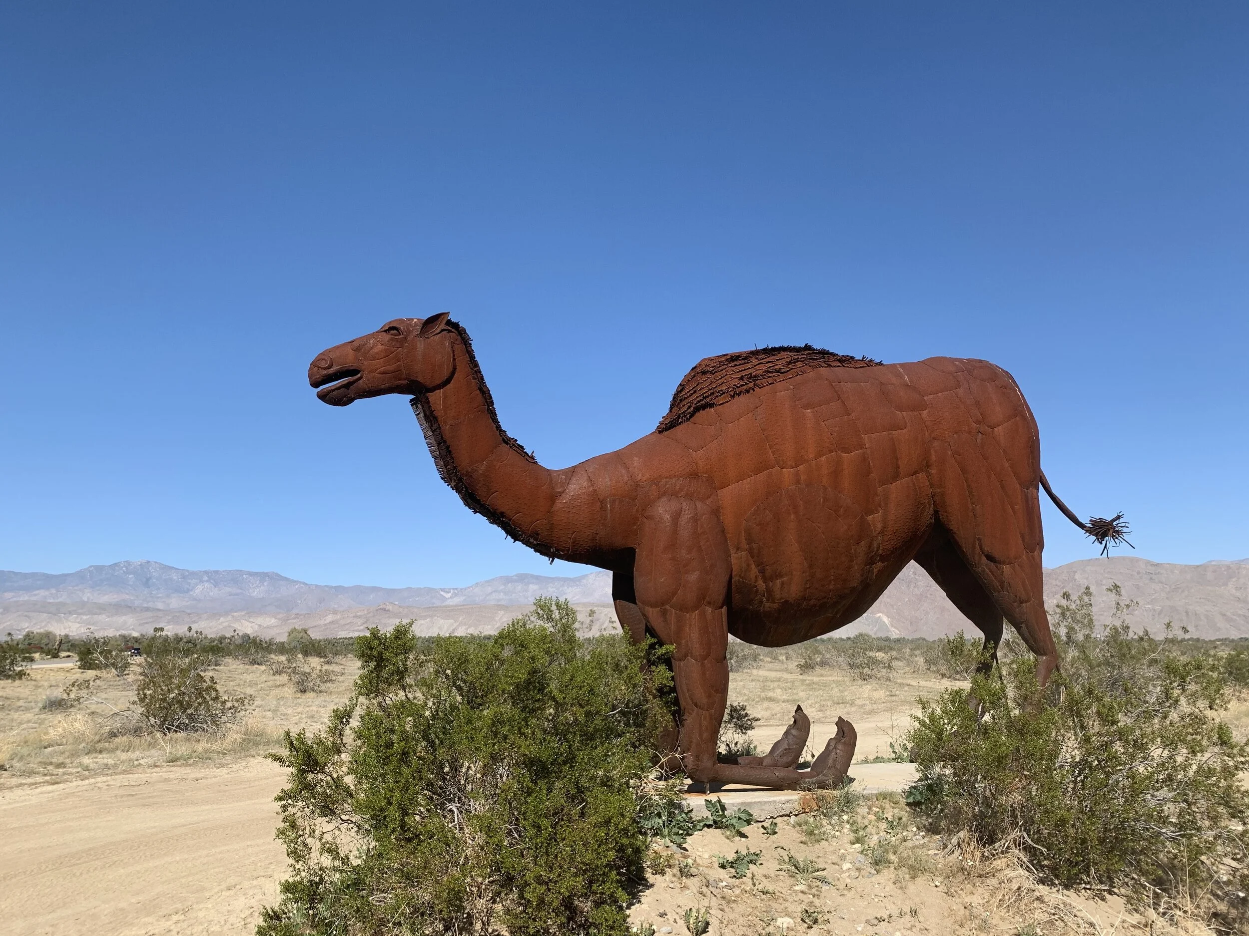 Your Guide to the Southern California Desert