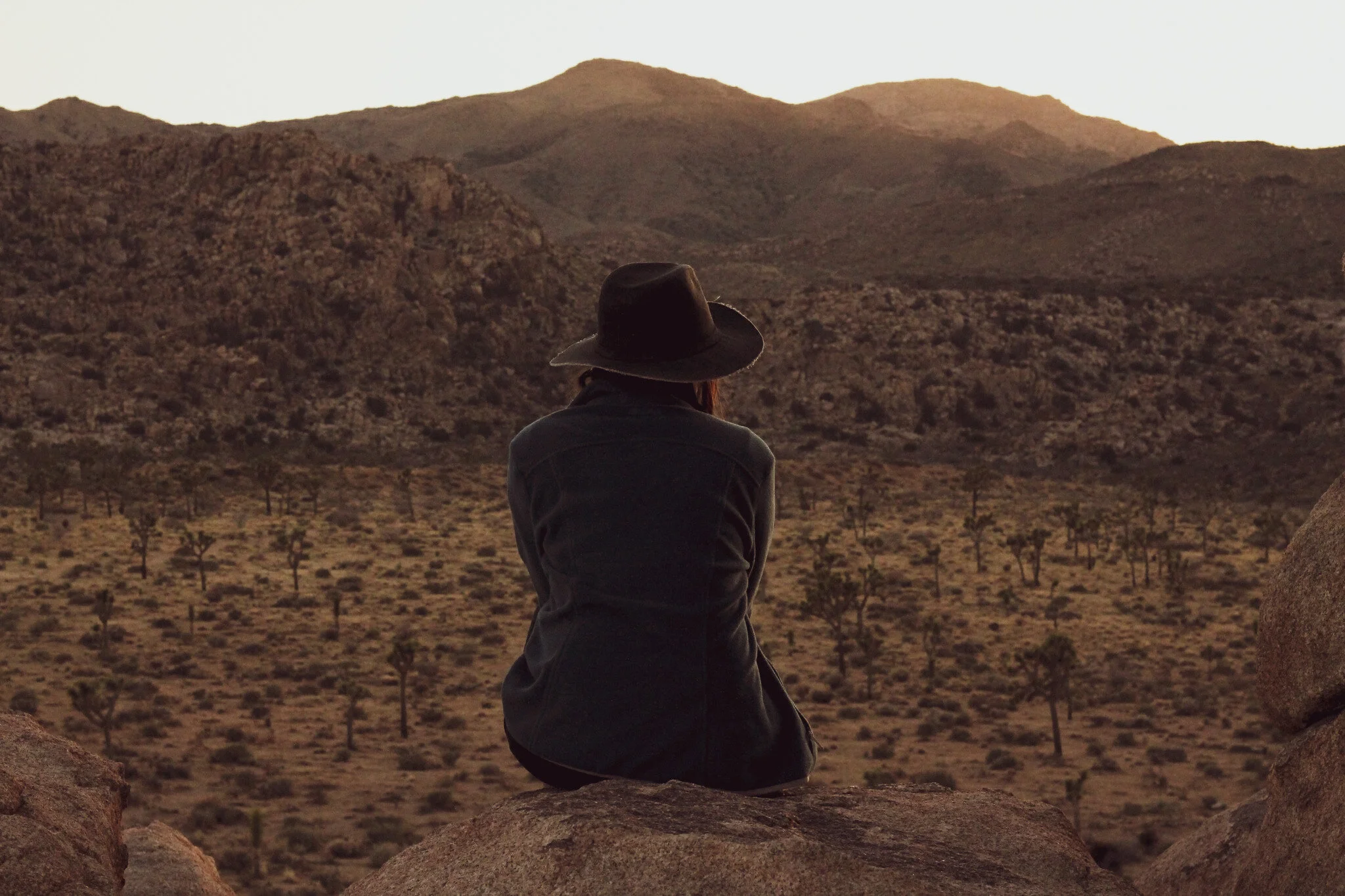 I Took a Secret Tour of Joshua Tree