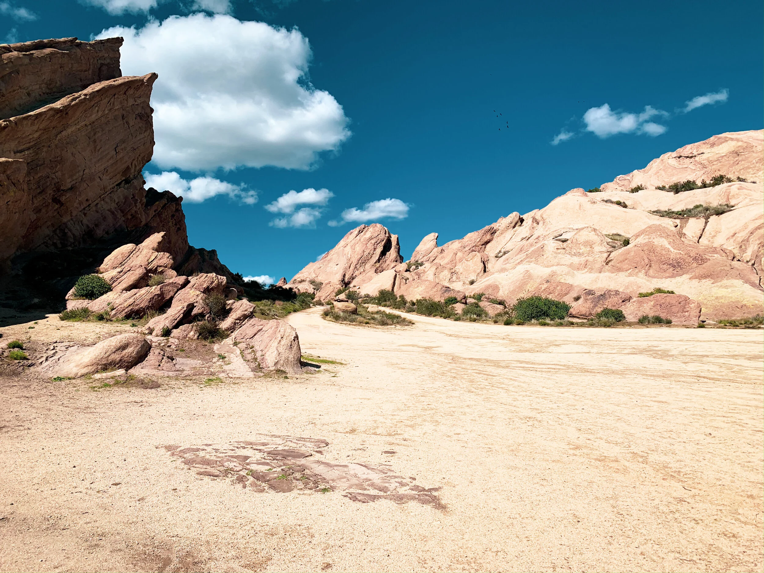 Where My Travel Bug Was Born