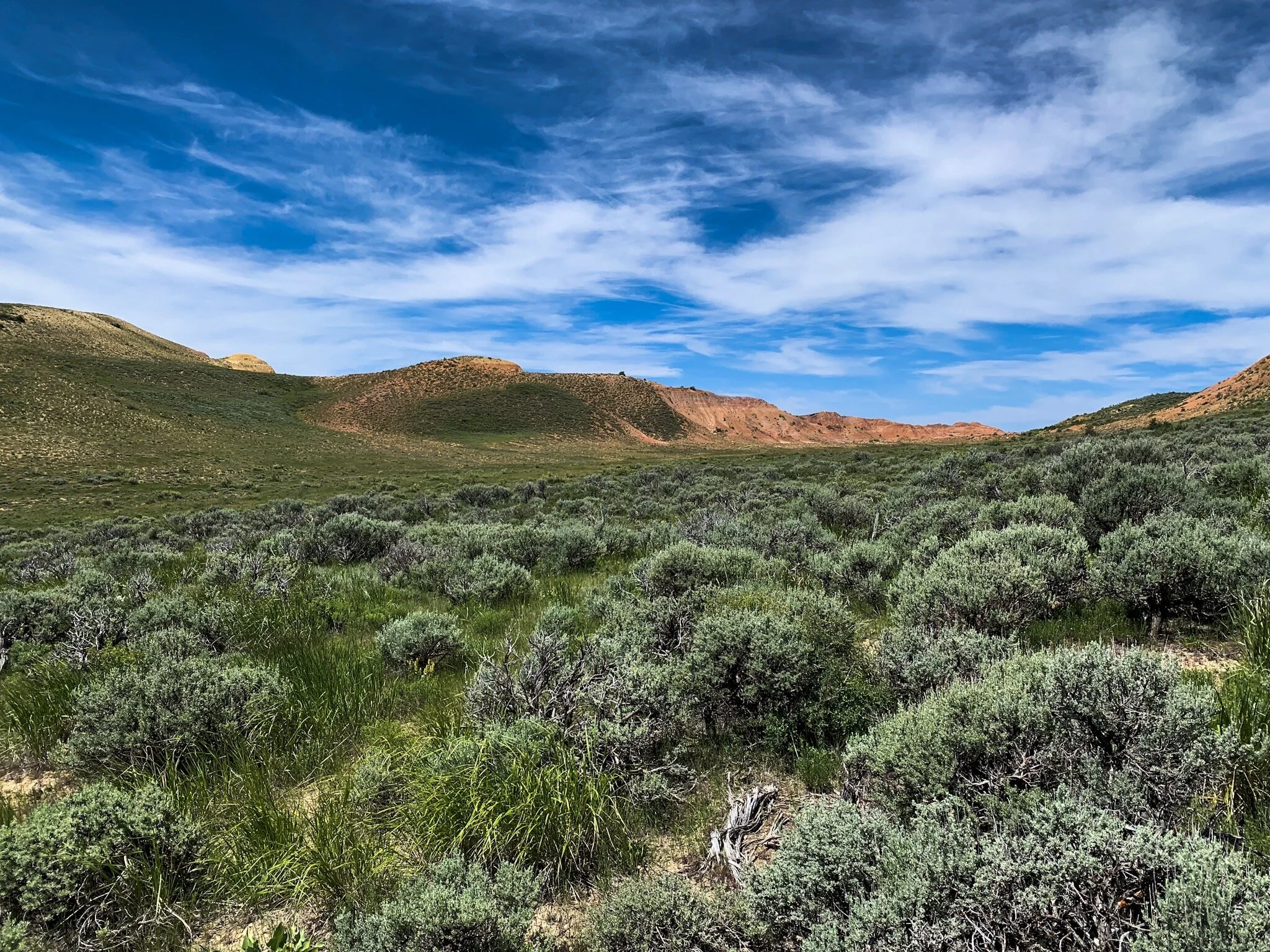 Your Guide to Our Public Lands