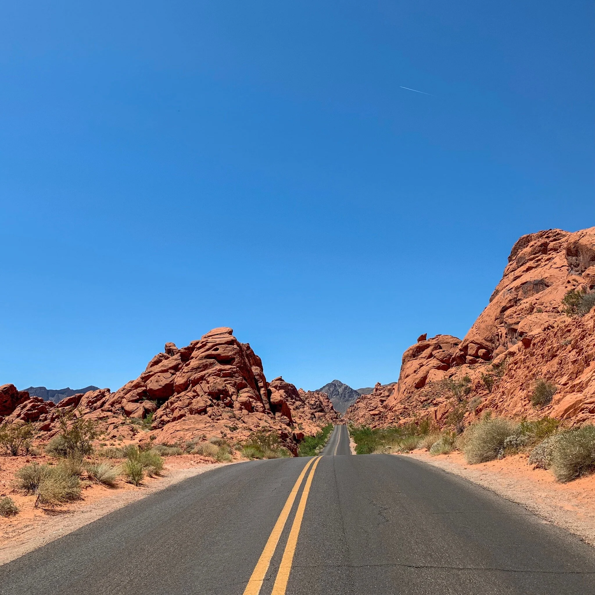 How to Prepare for a Summer Road Trip (in 2020)