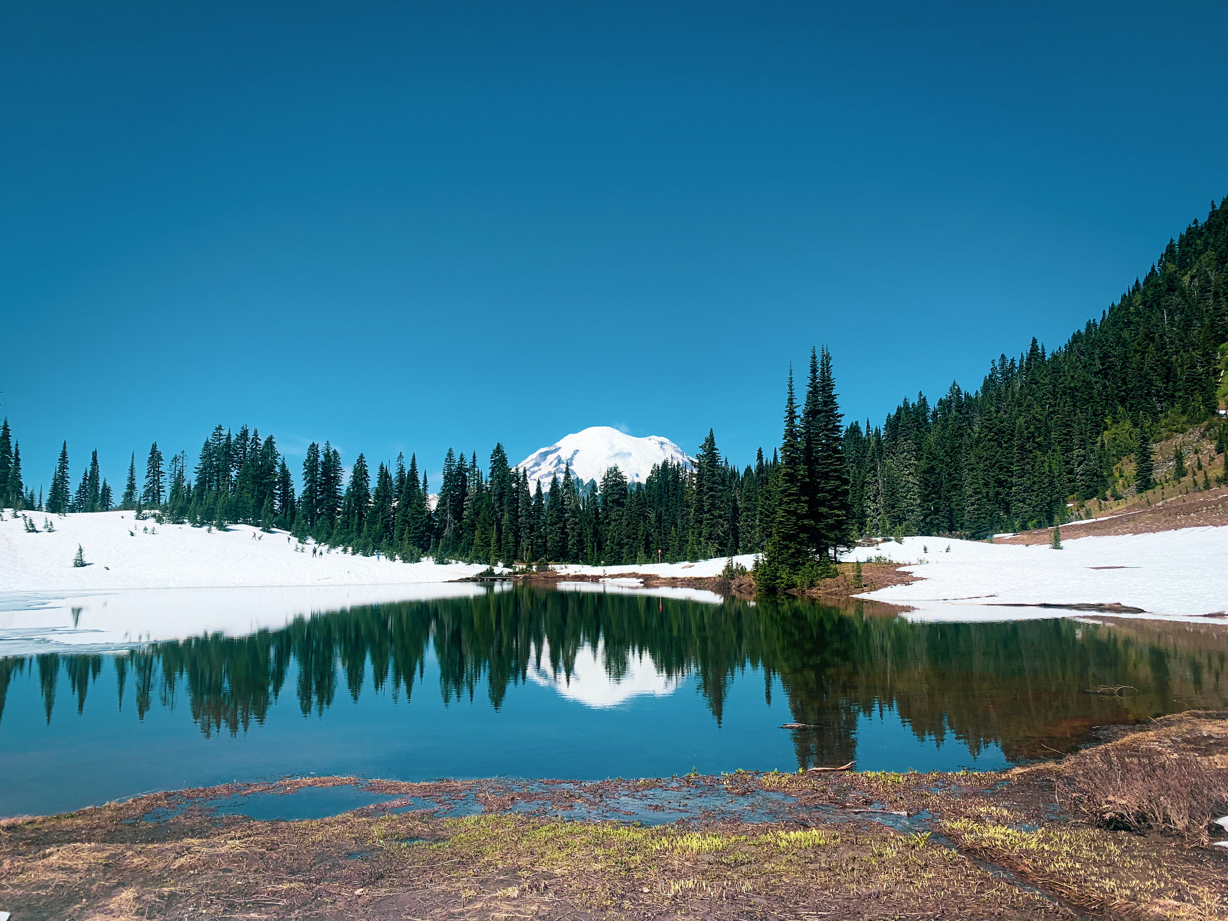 A Visitor's Guide to Mount Rainier National Park