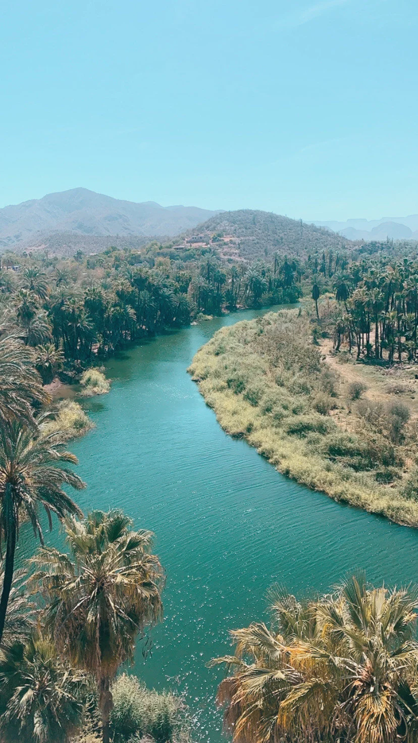 How to Prepare for Your Baja Road Trip