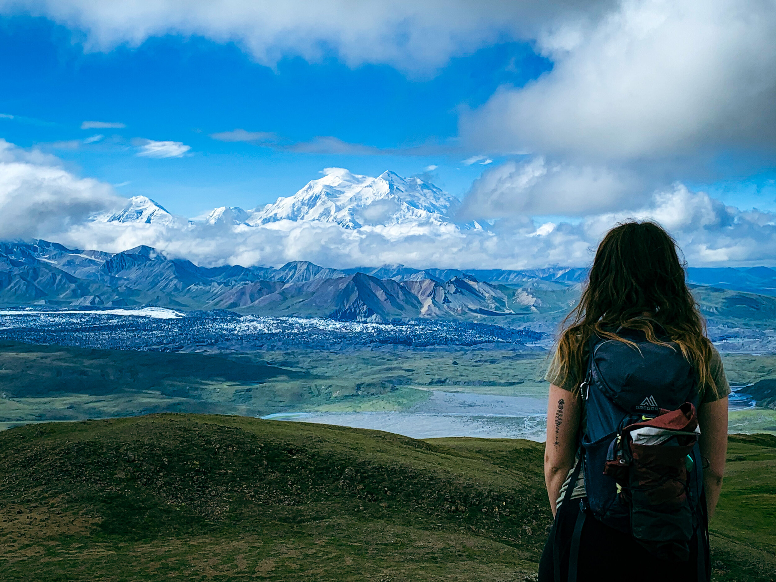 Your Guide to Denali National park — Sunbird Soul Adventures