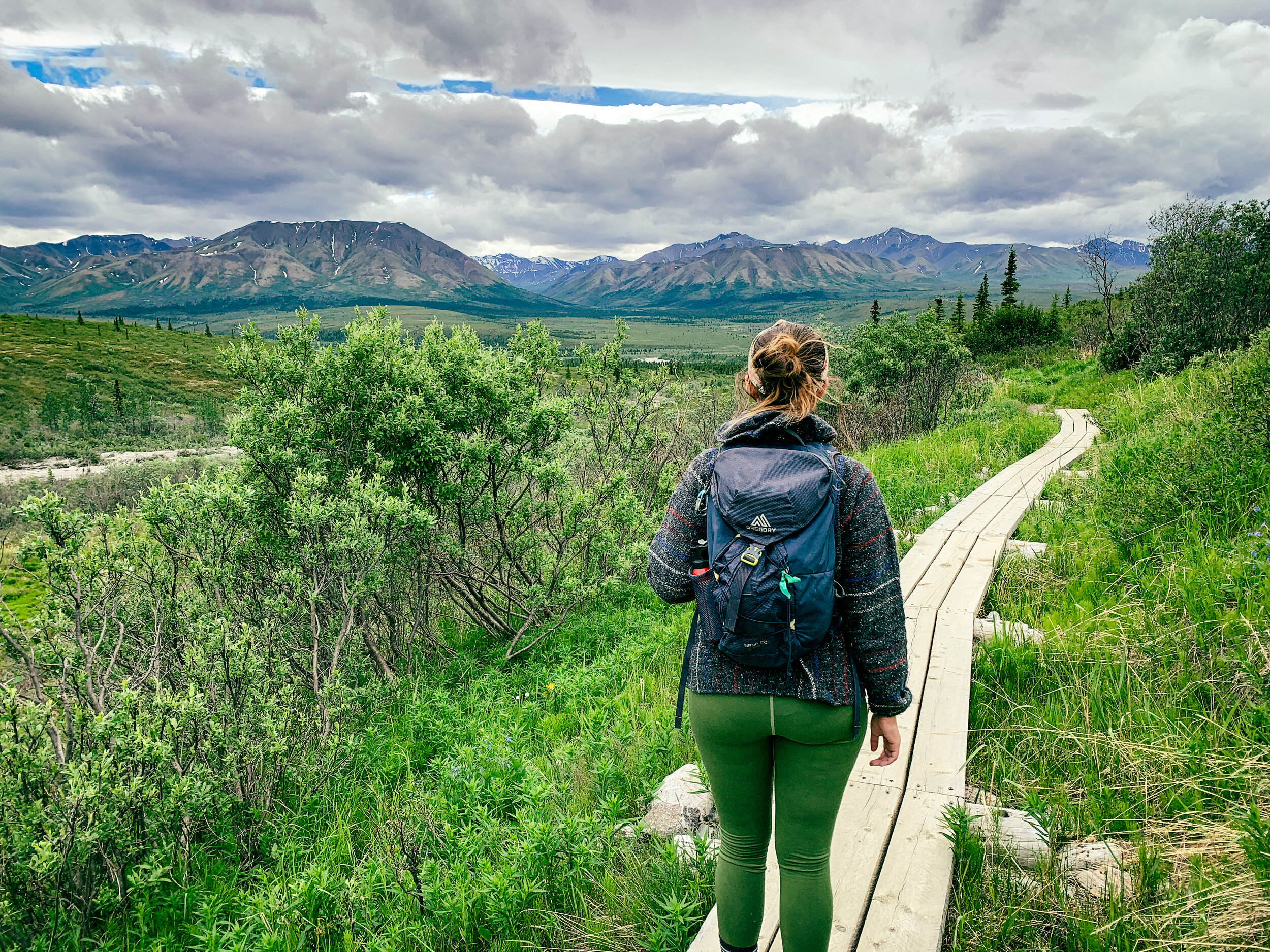 Your Guide to Denali National park — Sunbird Soul Adventures