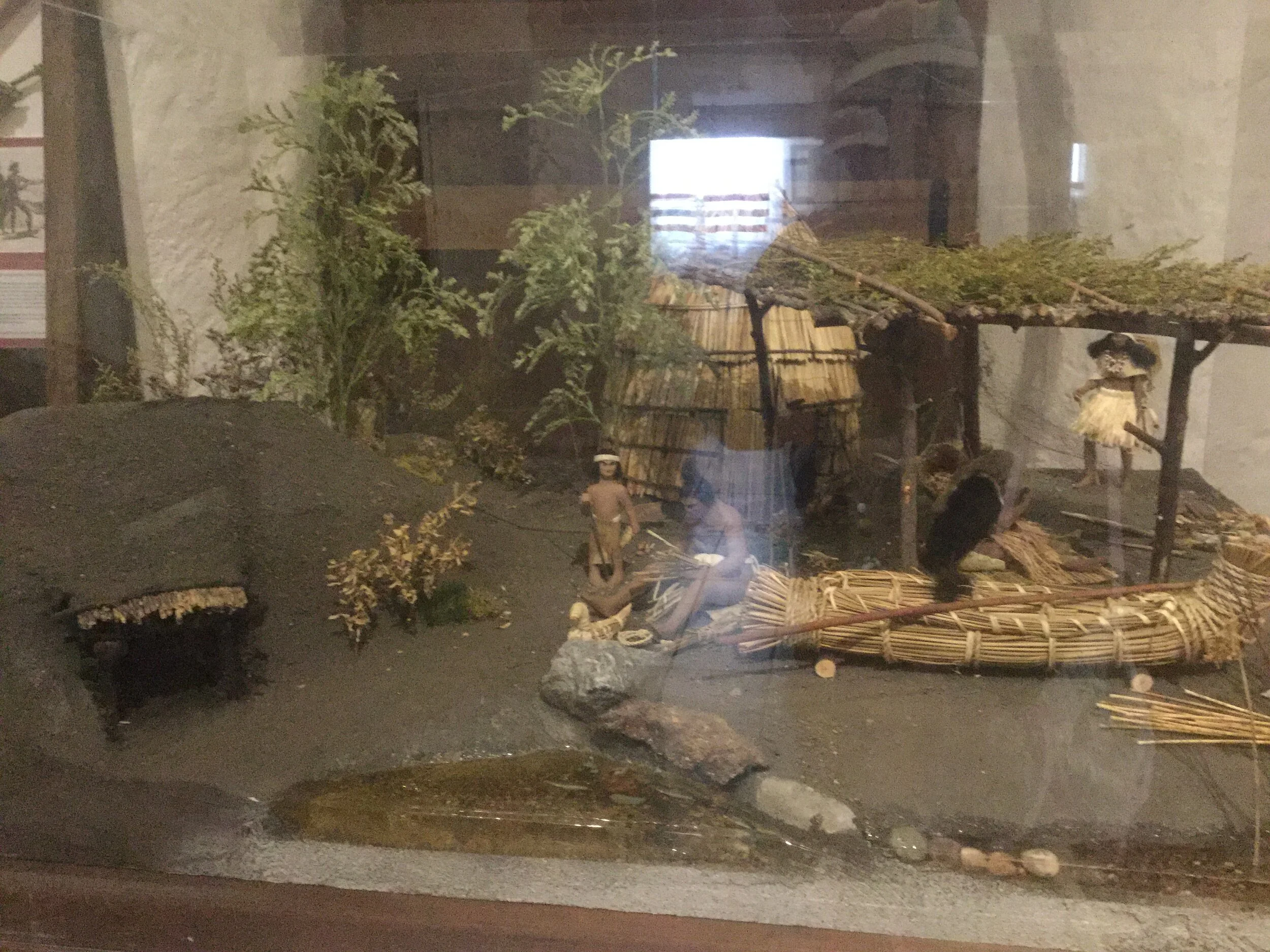 BEFORE THE COLONIAL VIRUS