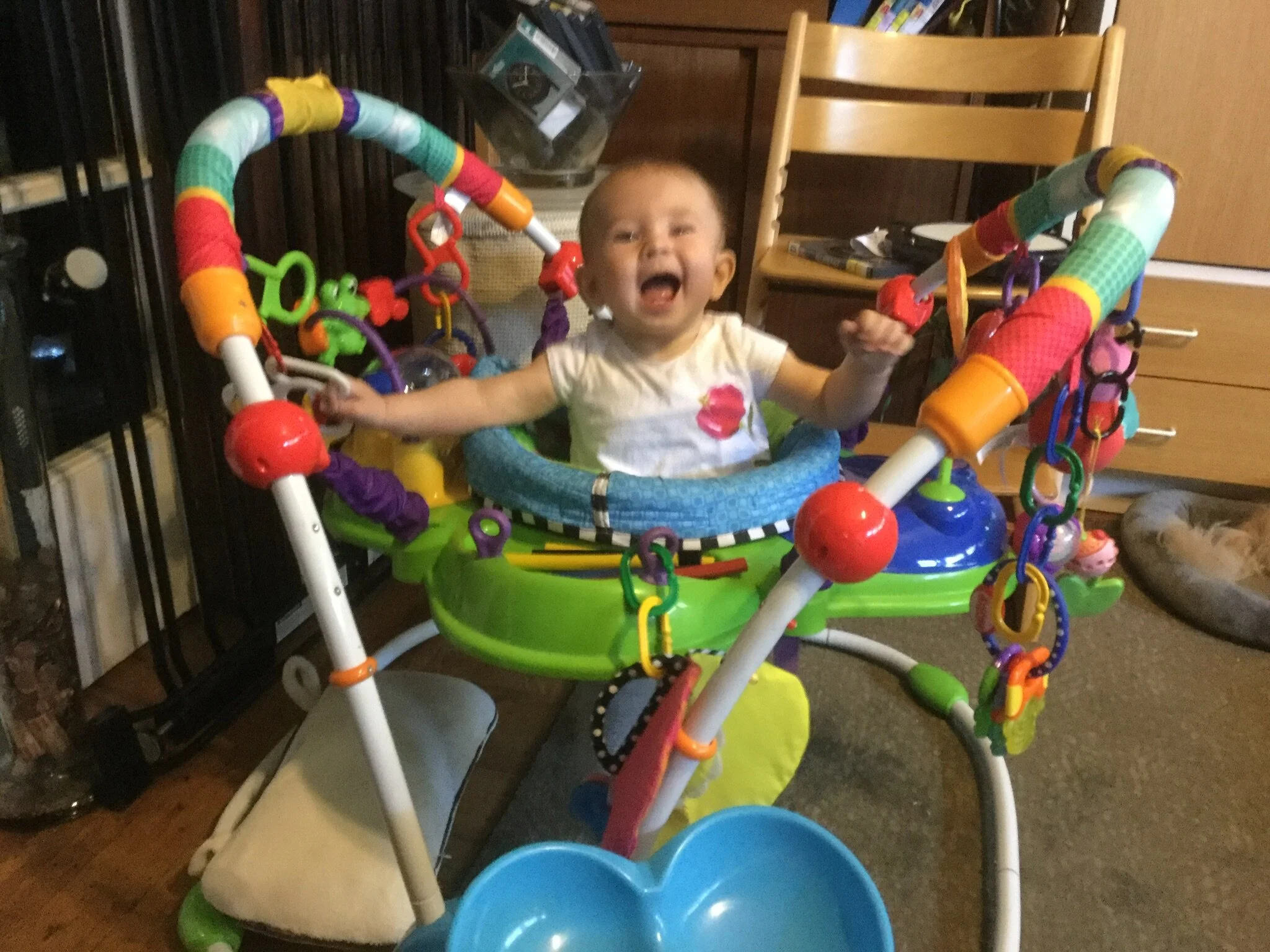 JOKE  of the EVENING