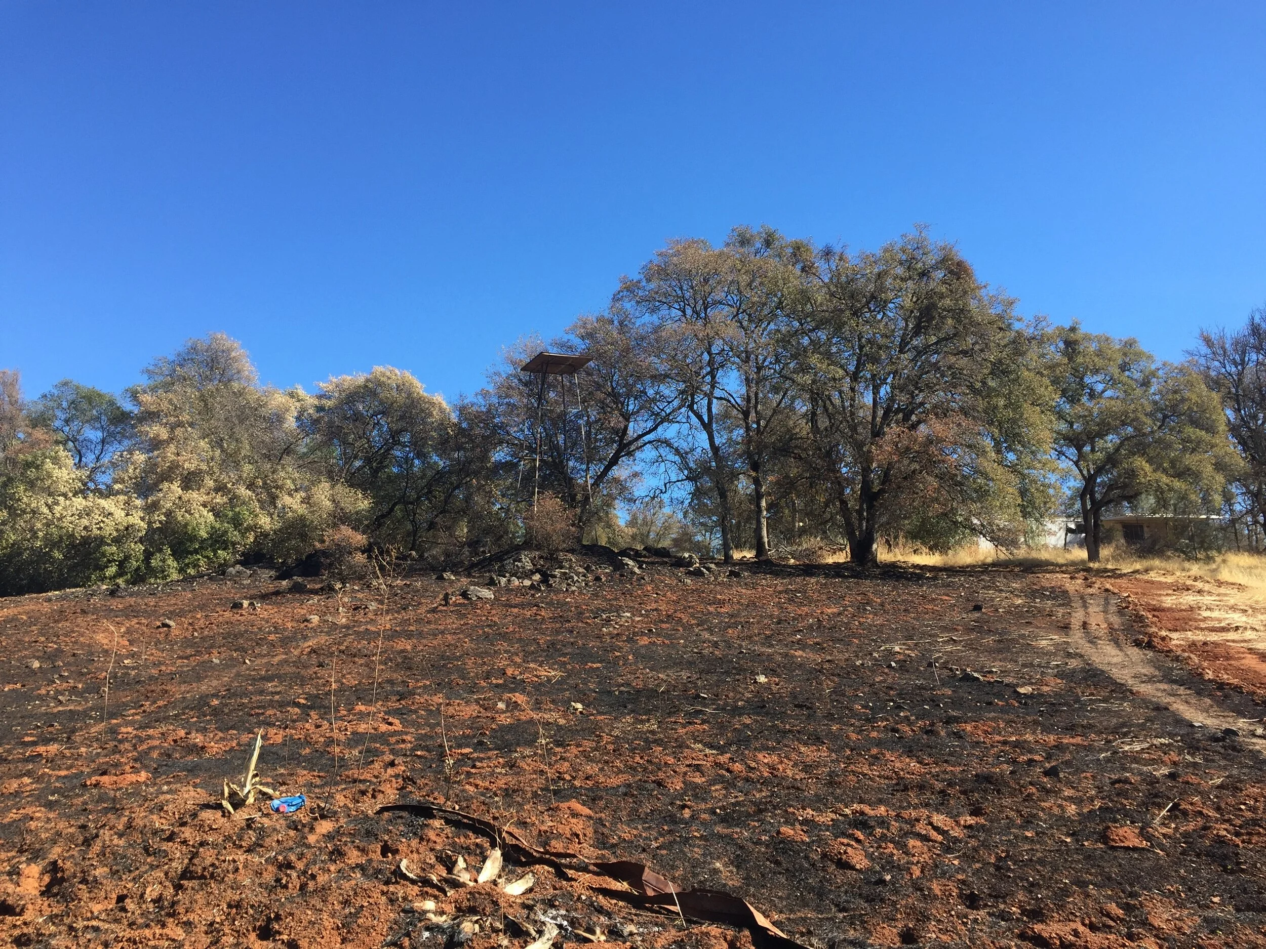 Lorem ipsum dolor sit amet, consectetur adipiscing elit. Morbi leo risus, porta ac consectetur ac, vestibulum at eros. Cras mattis consectetur purus sit amet fermentum. Curabitur blandit tempus porttitor. Praesent commodo cursus magna, vel scelerisq…