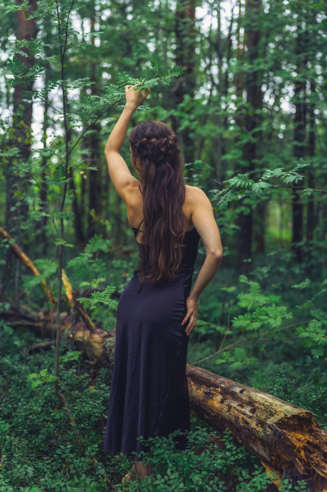 _DSC3173.jpeg