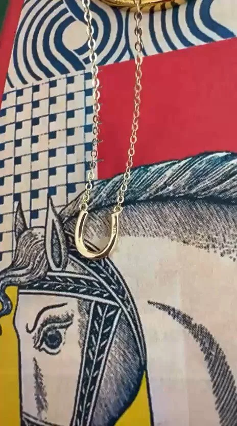 Thin Horseshoe Necklace.jpg