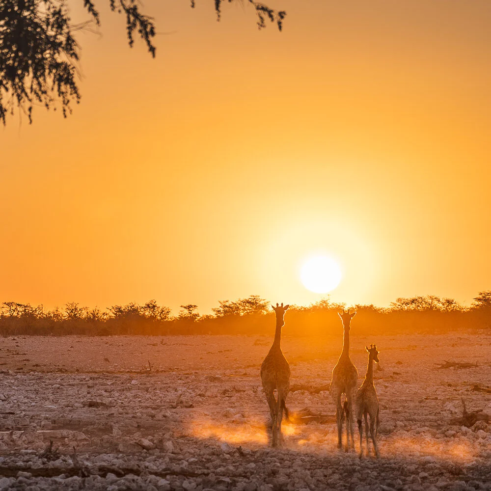 Useful things to know before travelling to Namibia