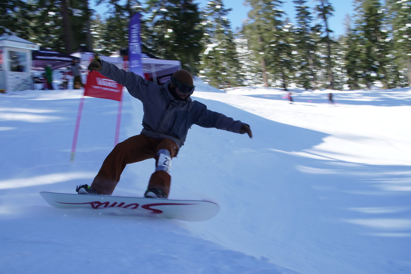 LRG_DSC05513.JPG