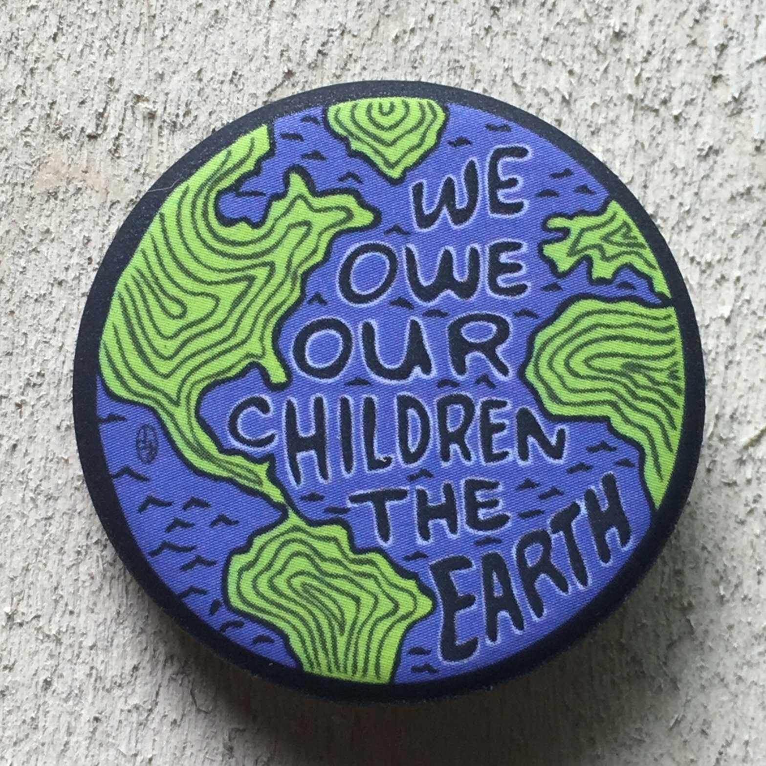 We Owe Our Children The Earth Pin