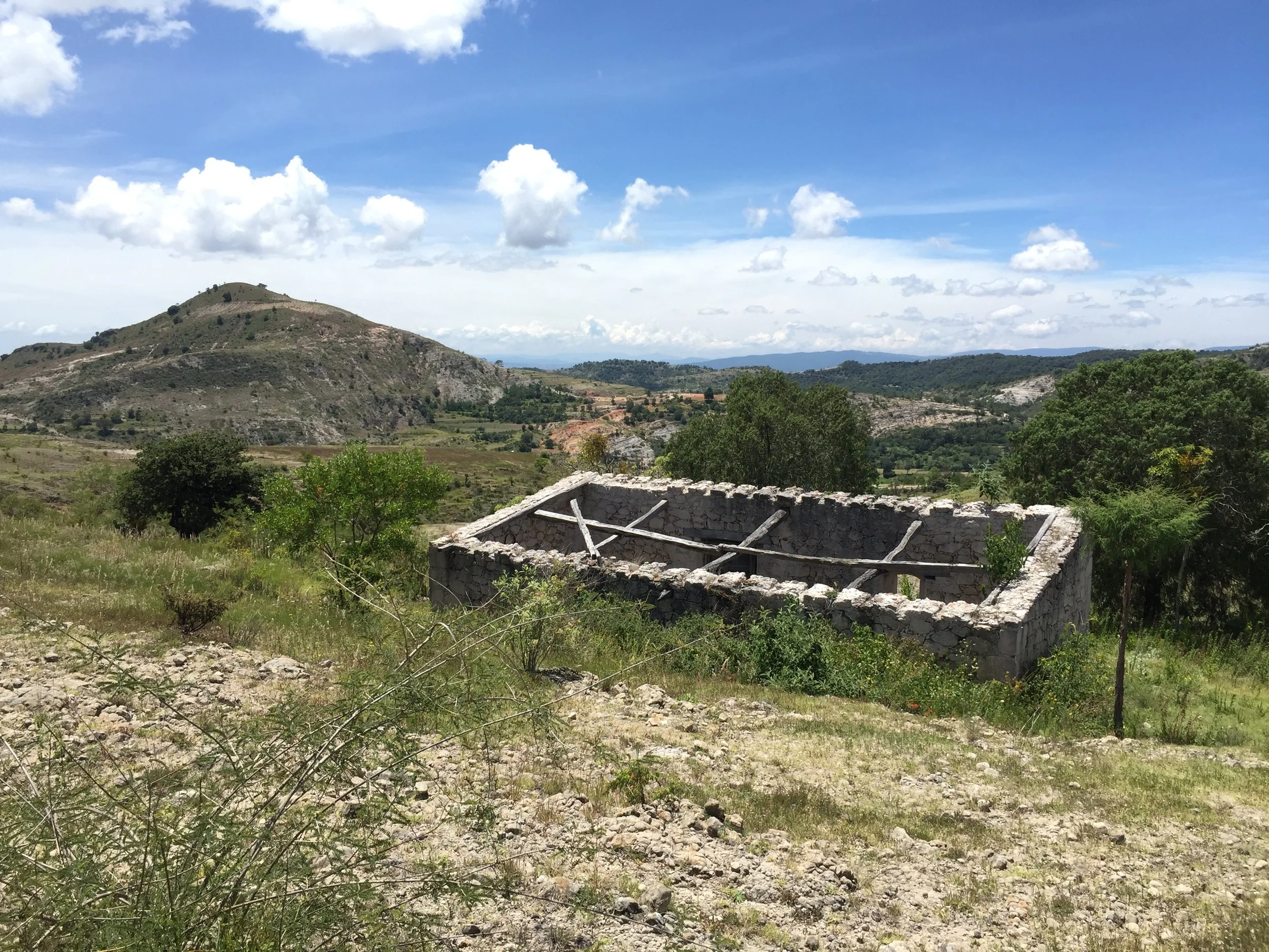  Río Blanco Tontaltepec, Oaxaca, 2021. Cortesía del artista y kurimanzutto. Foto por Hamid Amini. 