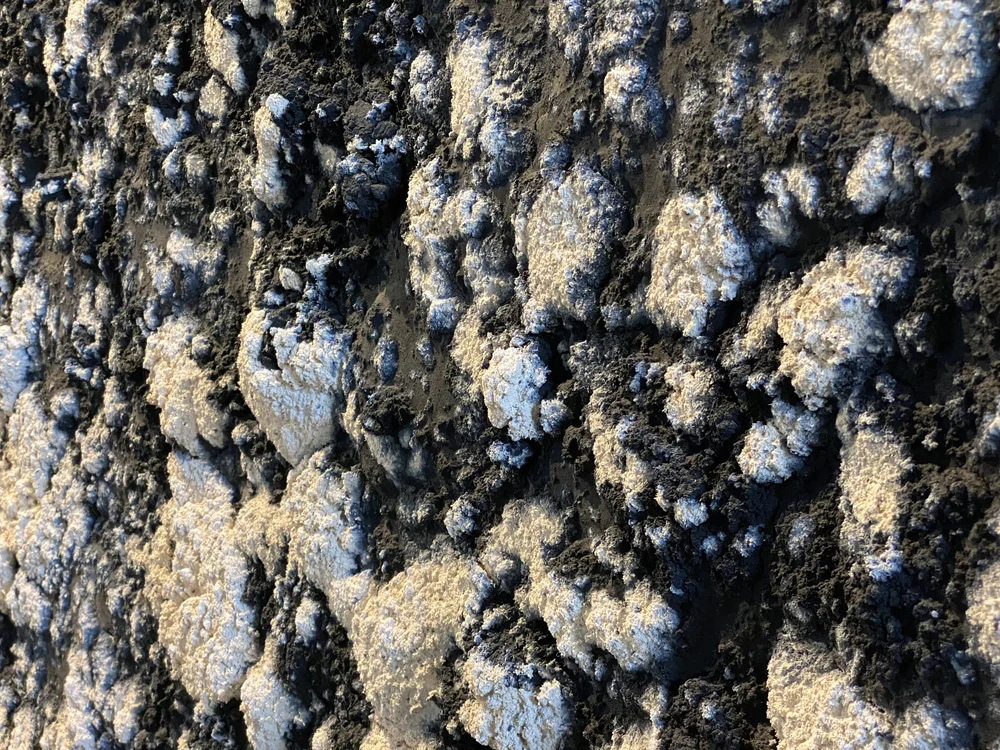 Detalle de la instalación, Fundación Casa Wabi—Sabino 336. Ciudad de México, febrero de 2023. Foto por La Consultoría. 