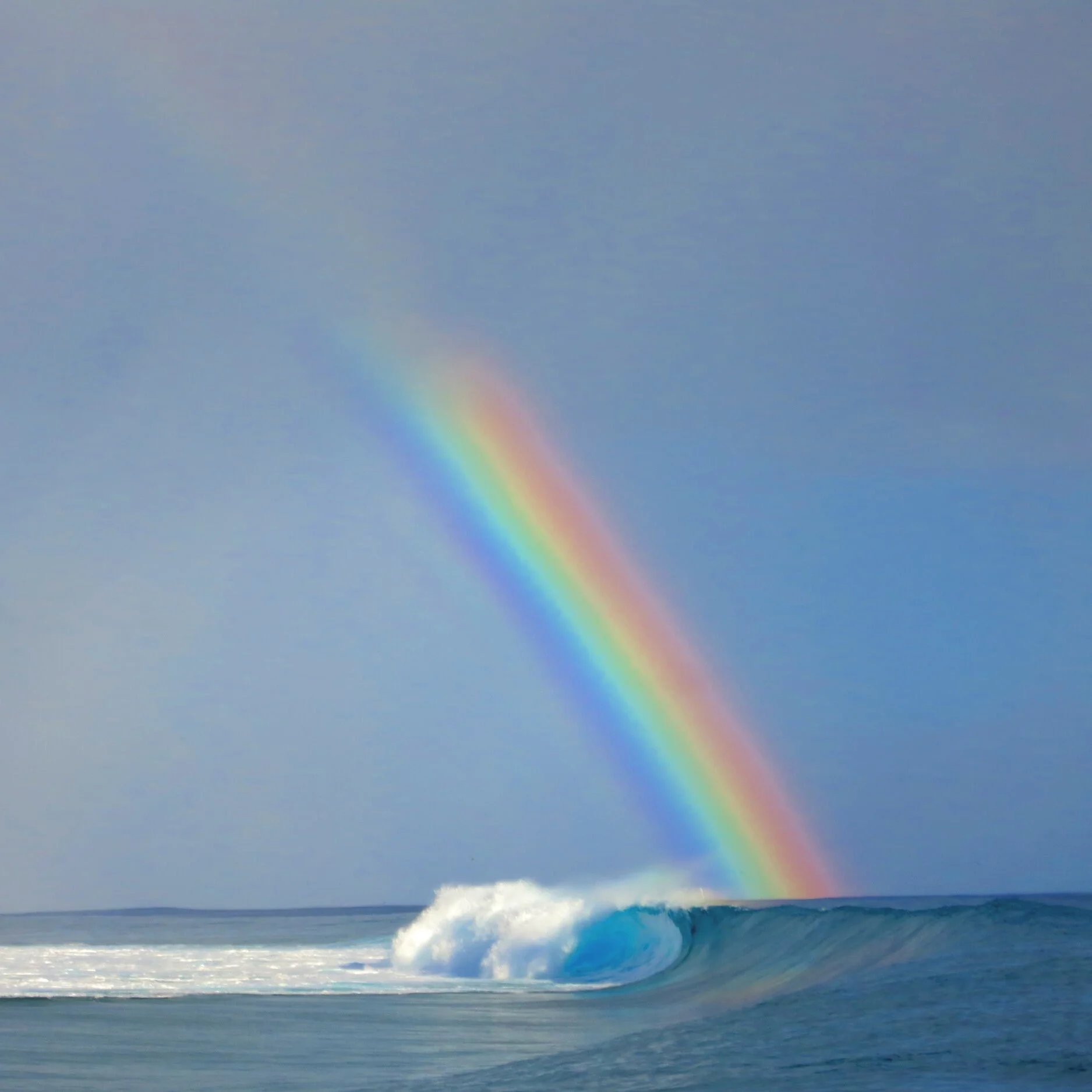 COMBO: Advanced Pranic Healing &amp; Pranic Psychotherapy - Hybrid