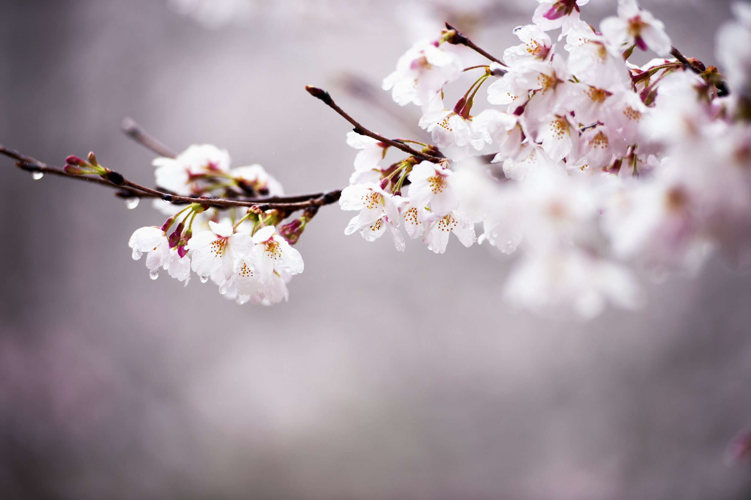 Introduction to Pranic Feng Shui and Pranic Self Healing