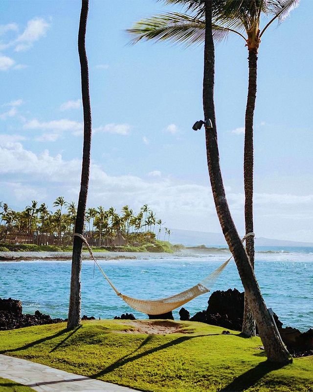 Hilton hammock.jpg