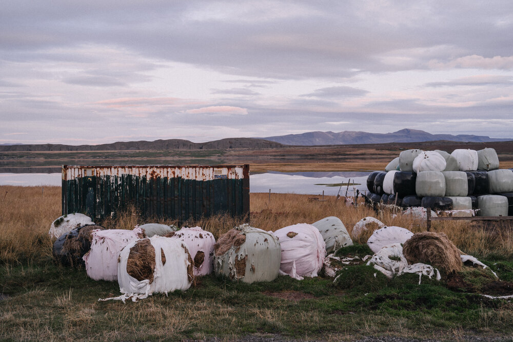 ISLAND_ZARI 2019_SUM_02.jpg