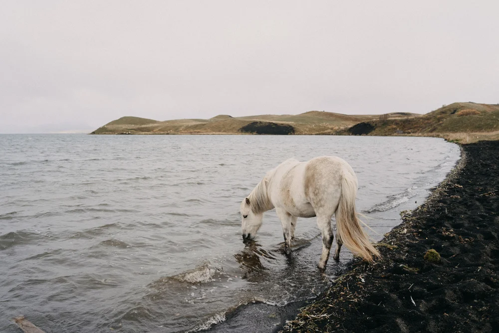 ISLAND_ZARI 2019_SUM_21.jpg