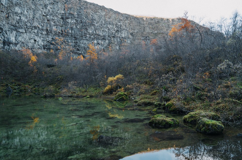 ISLAND_ZARI 2019_SUM_37.jpg