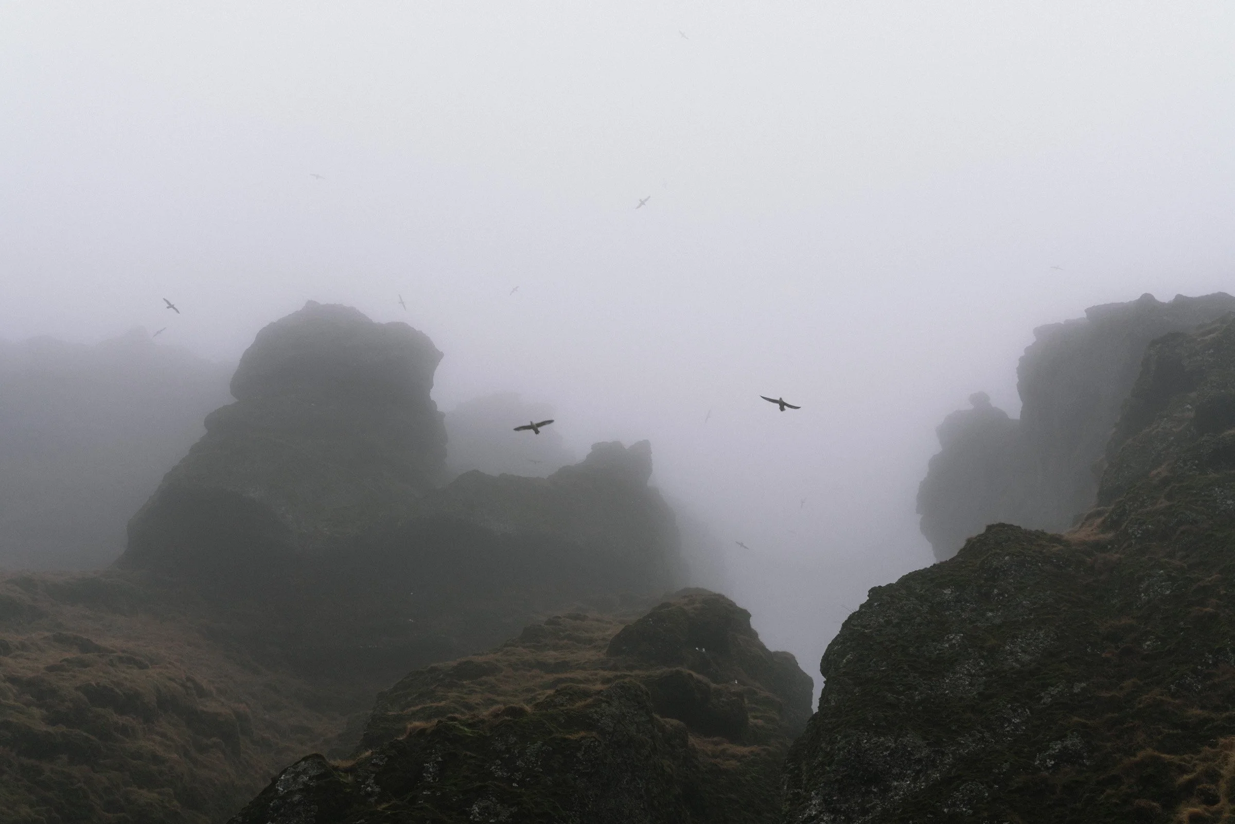 ISLAND_BREZEN2021_01.jpg