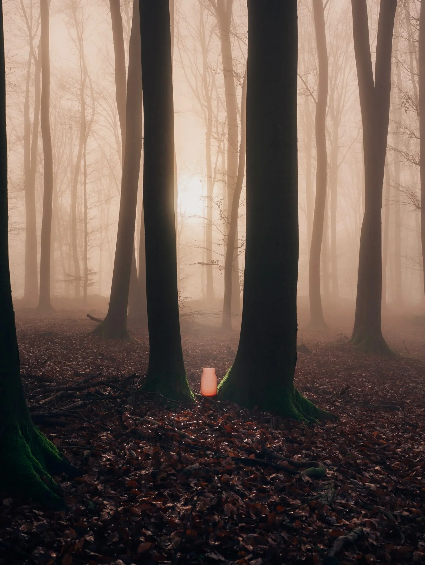 The Bandaska vase by @dechemstudio met the forest behind our house and this happened. 

#glassphotography #productphotographer