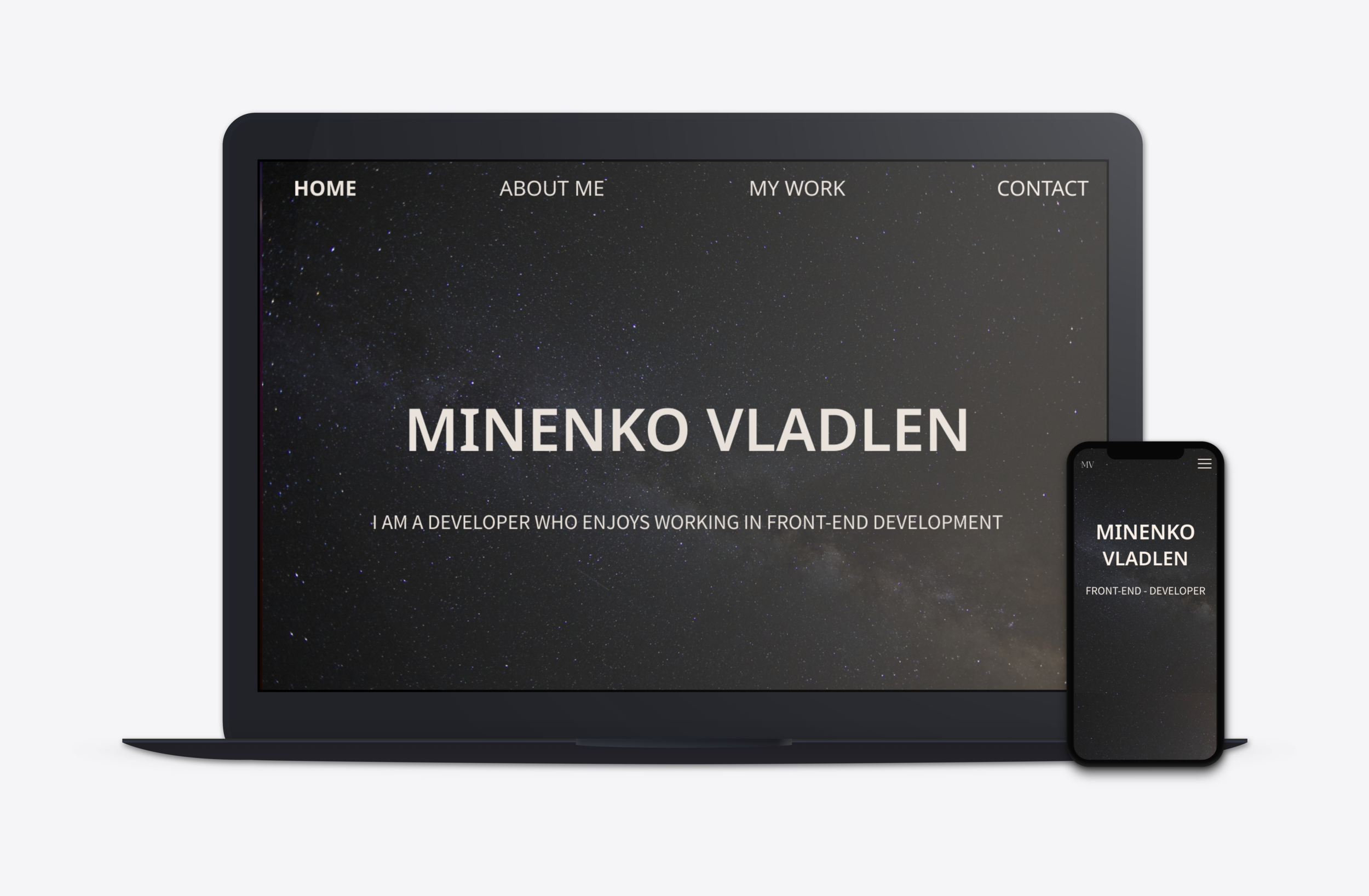 Vladlen portfolio Copy@3x.png