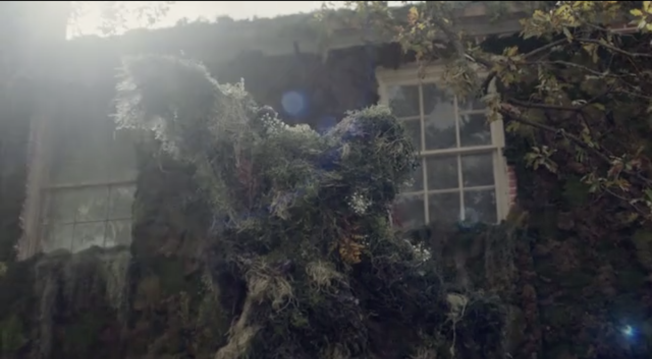 Matt Johns Art Direction Solange Film Set Decoration