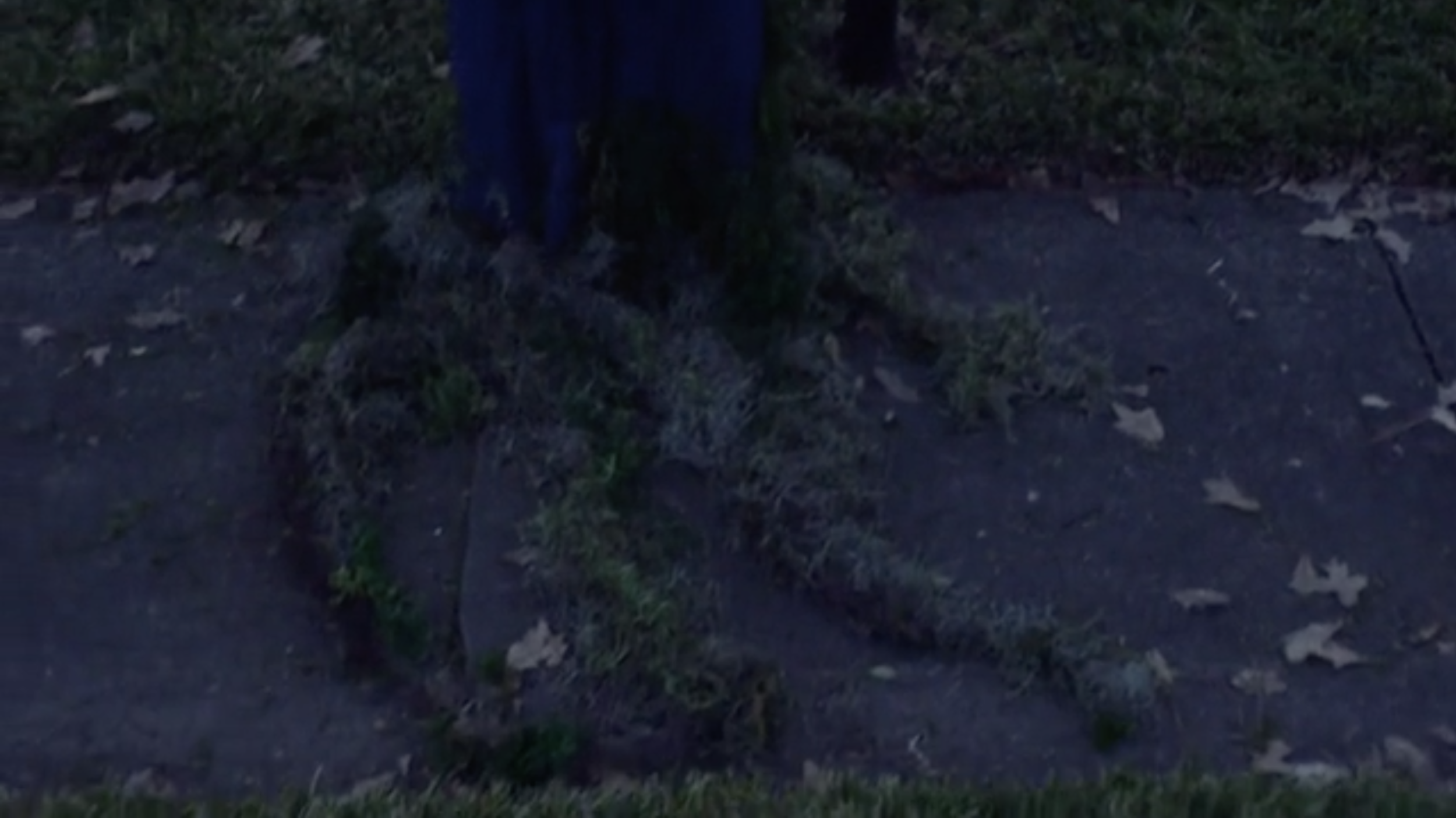 Matt Johns Art Direction Production Design Film Set Decoration Solange Houston 