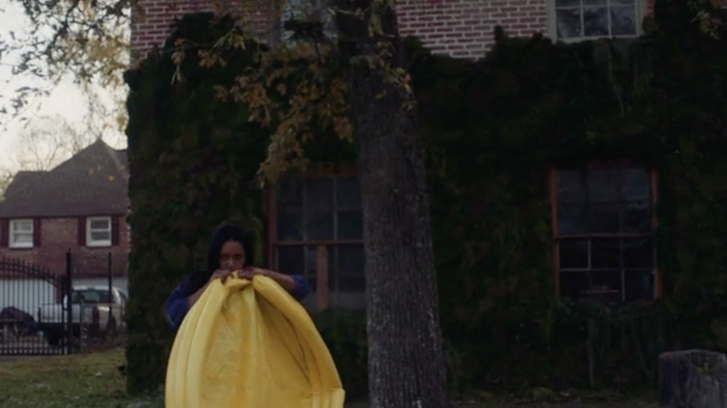 Screen Shot 2019-08-08 at 3.04.34 PM.png