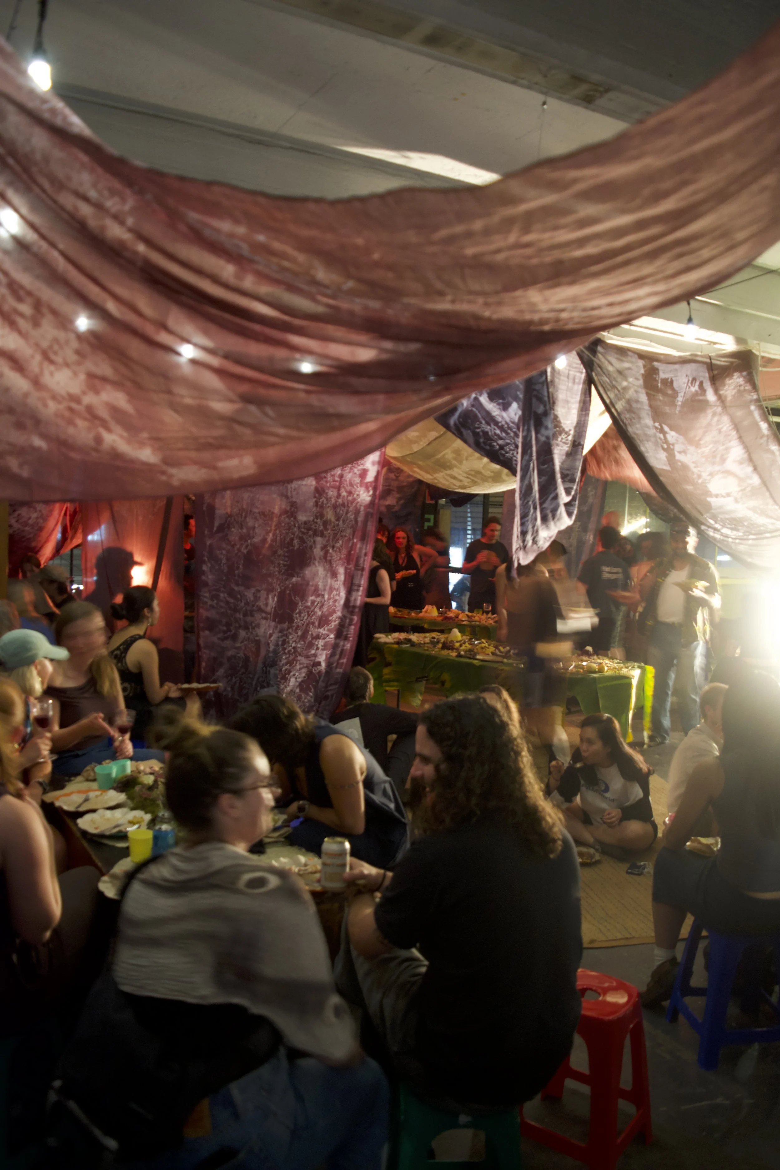 Copy of DSC_9352.jpeg