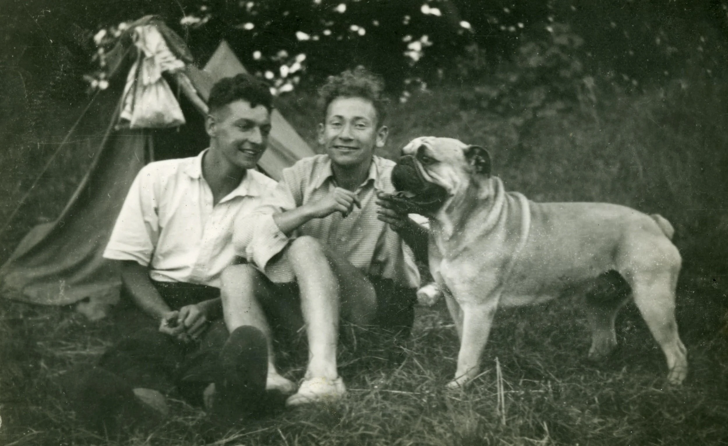 Comment of the Week: "A Decent Life Is Worth Living"