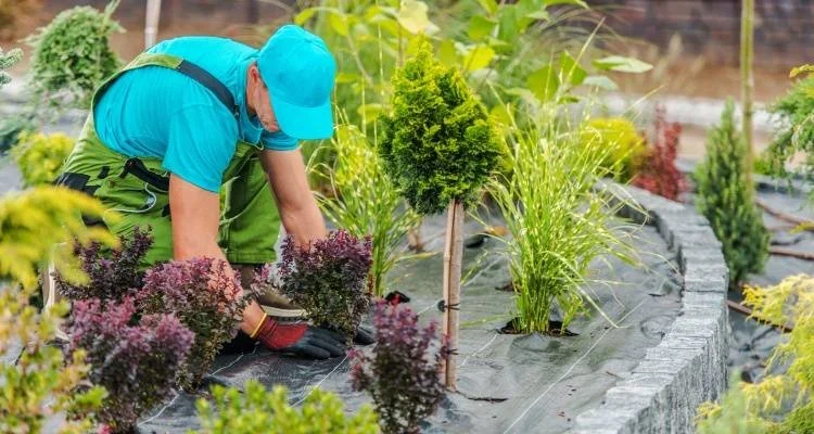 Gardening Injury Prevention Physio: Simple Tips to Keep Gardeners Pain-Free
