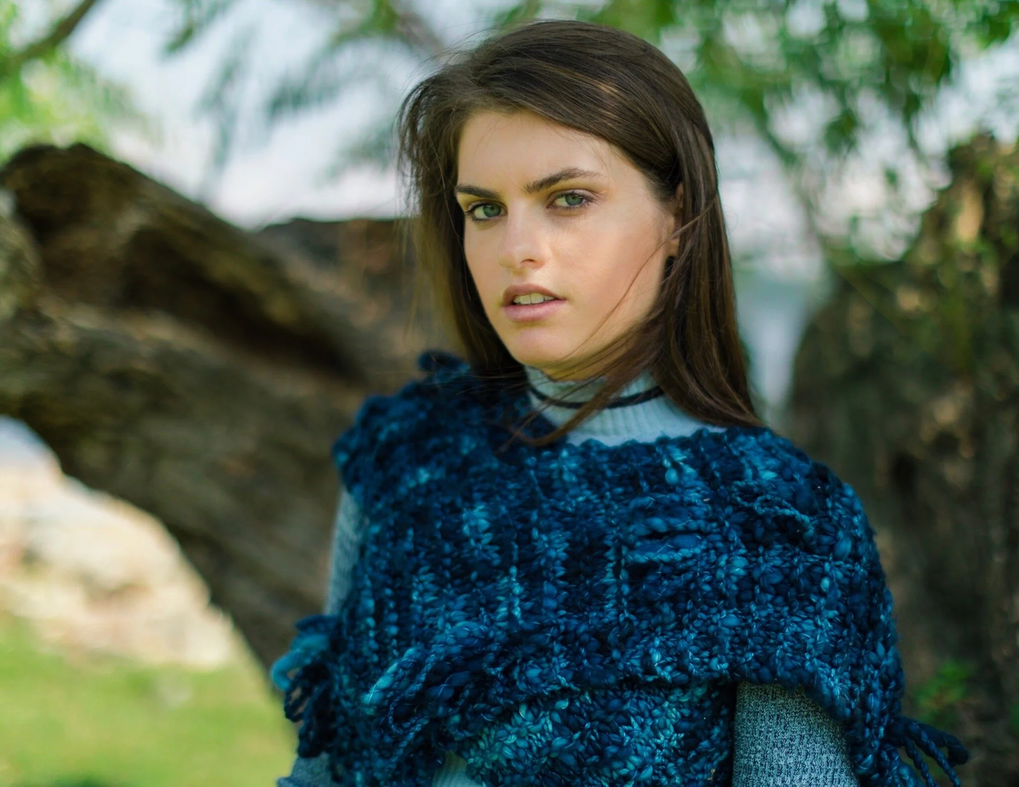 Photo taken by Andrew Albrecht