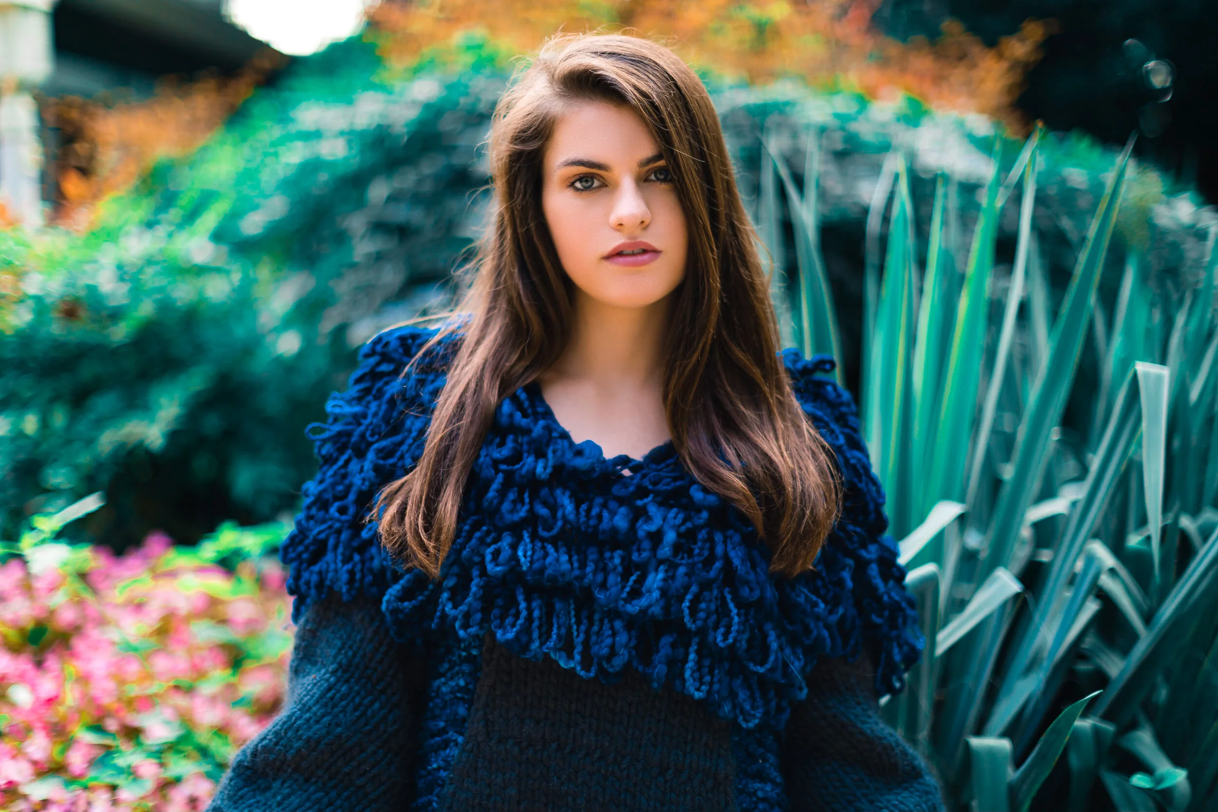 Photos taken by Andrew Albrecht