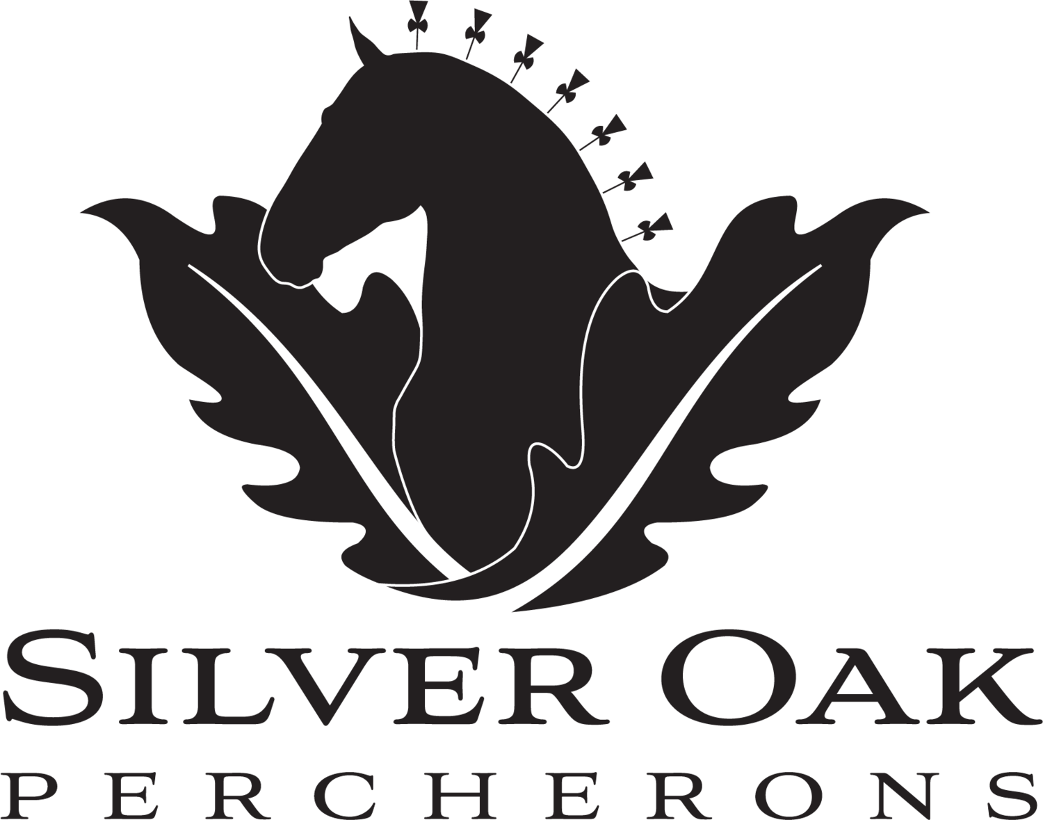 Silver Oak Percherons