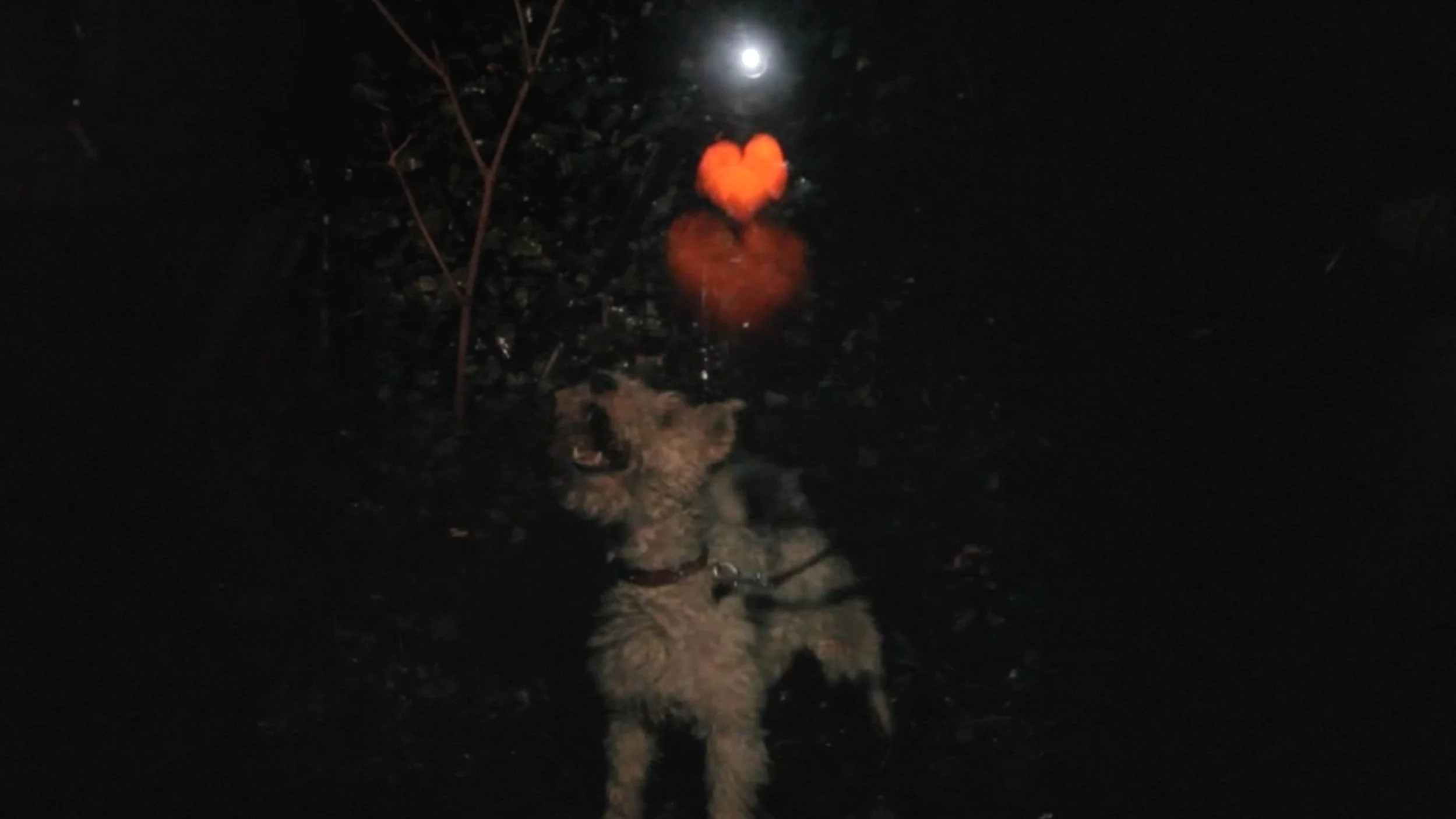 Love+is+in+the+air+making+of+2.jpg