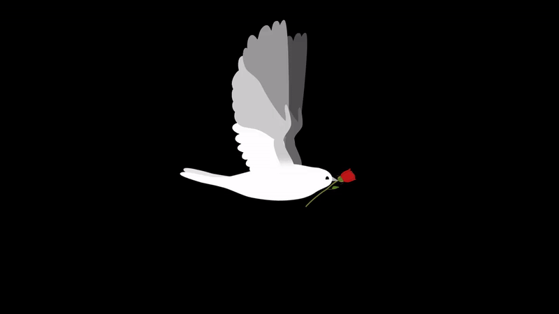 The animated elements before projecting