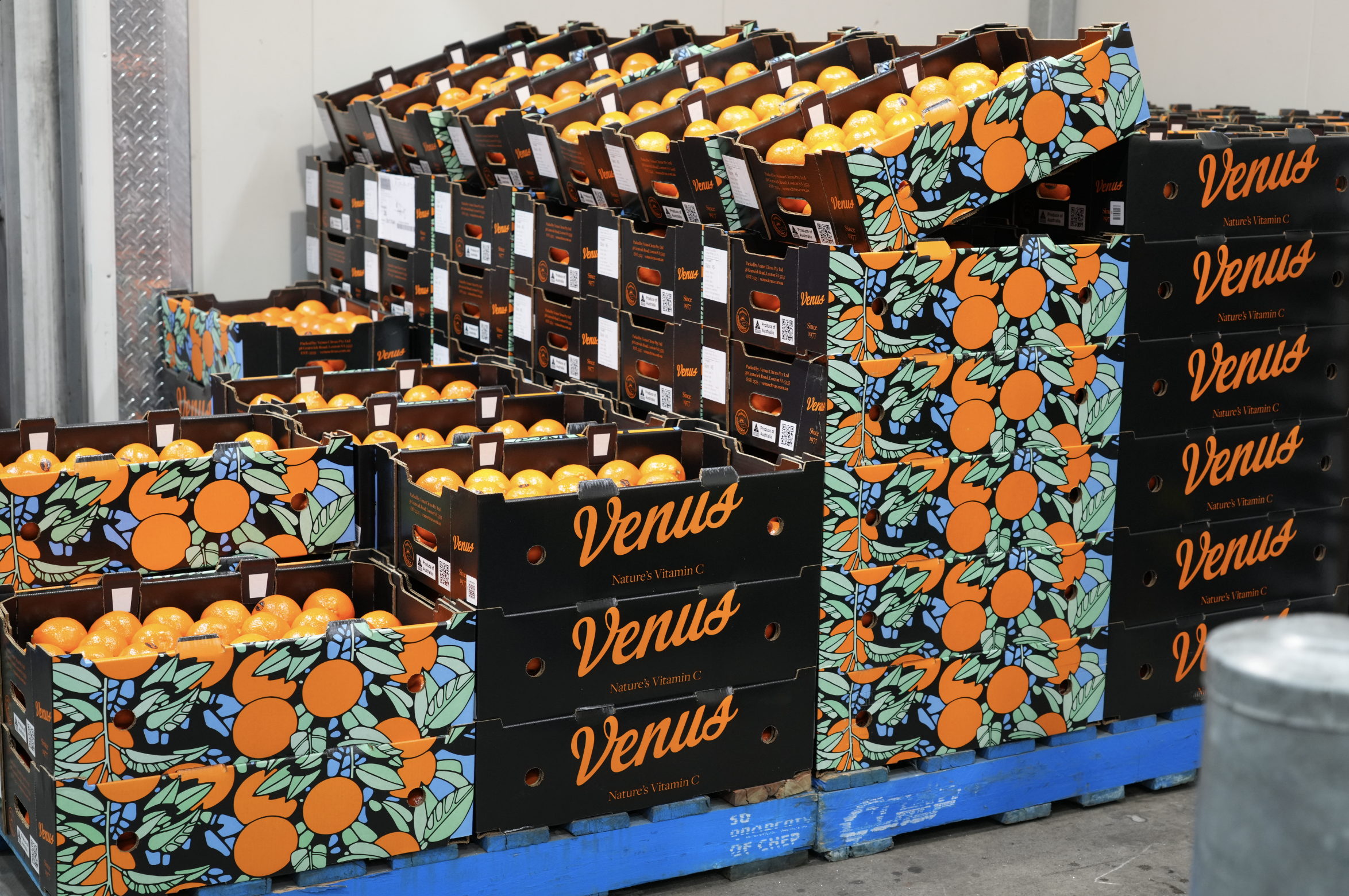 Screenshot 2026-02-02 at 11.44.20 am.png