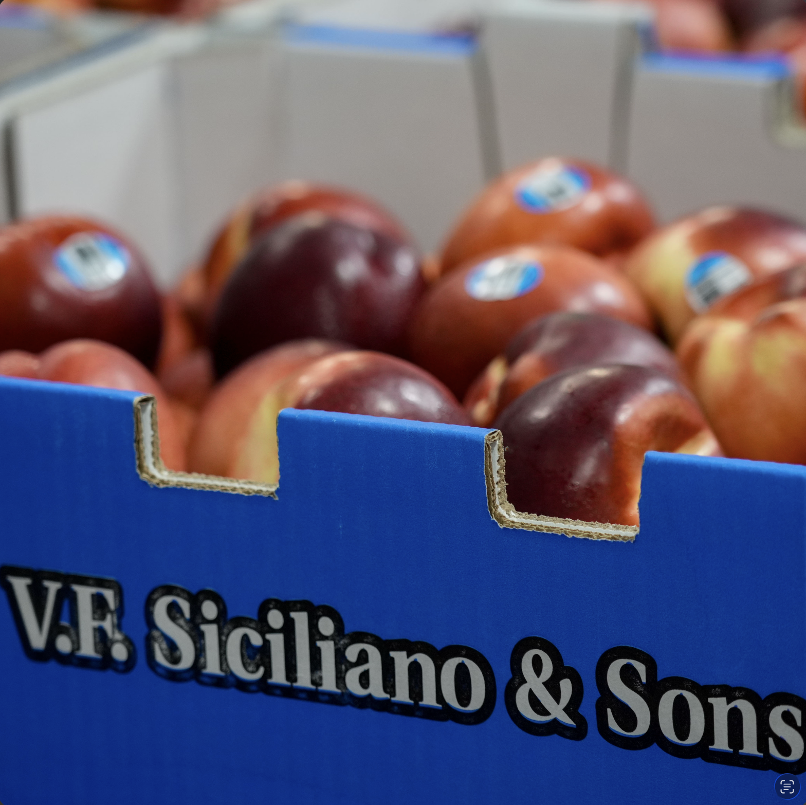 Screenshot 2026-02-02 at 11.51.07 am.png