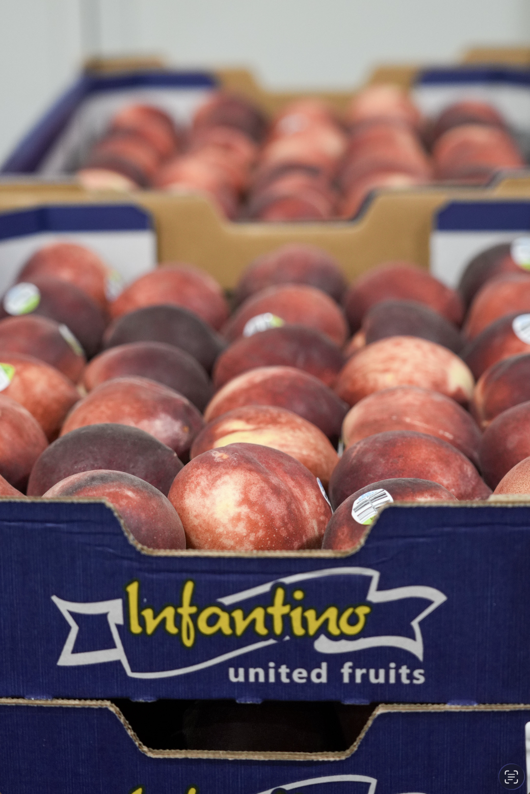 Screenshot 2026-02-02 at 11.51.15 am.png