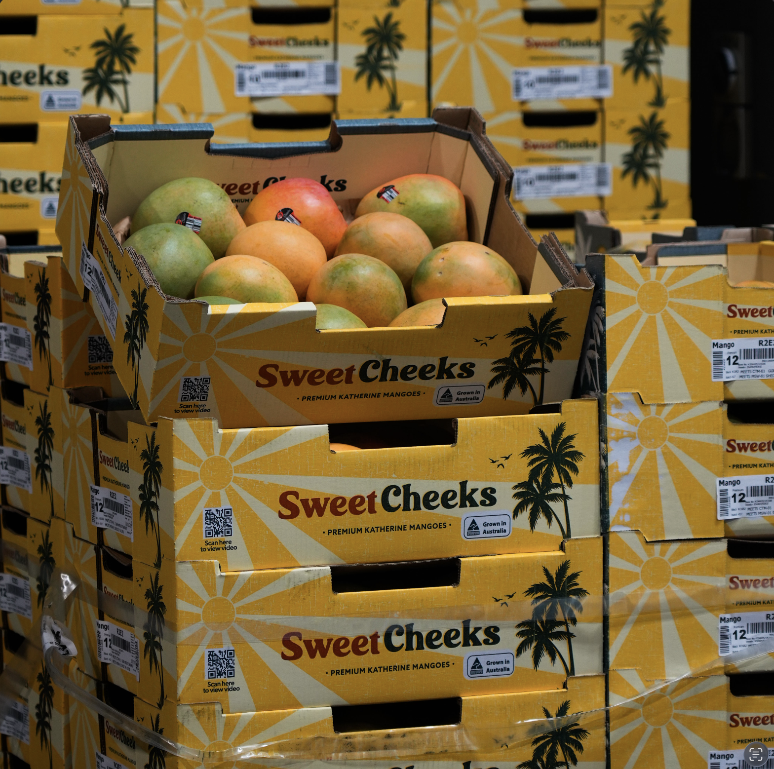 Screenshot 2026-02-02 at 11.51.22 am.png