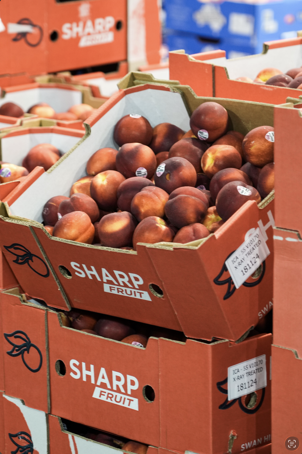 Screenshot 2026-02-02 at 11.51.29 am.png