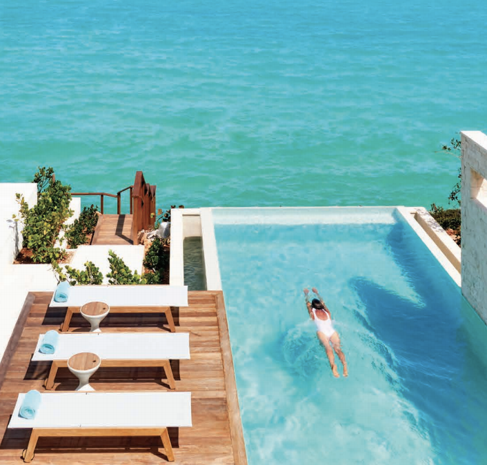 Fly South This Winter